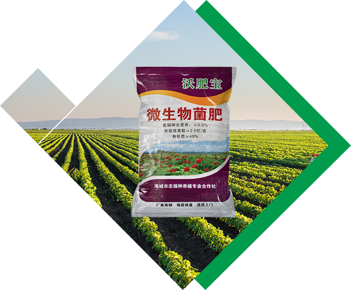 抚顺金地黄烟专用有机肥厂家